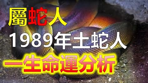 1989年屬|【1989 屬相】驚！1989年生屬相大起底：蛇子蛇女命運揭秘